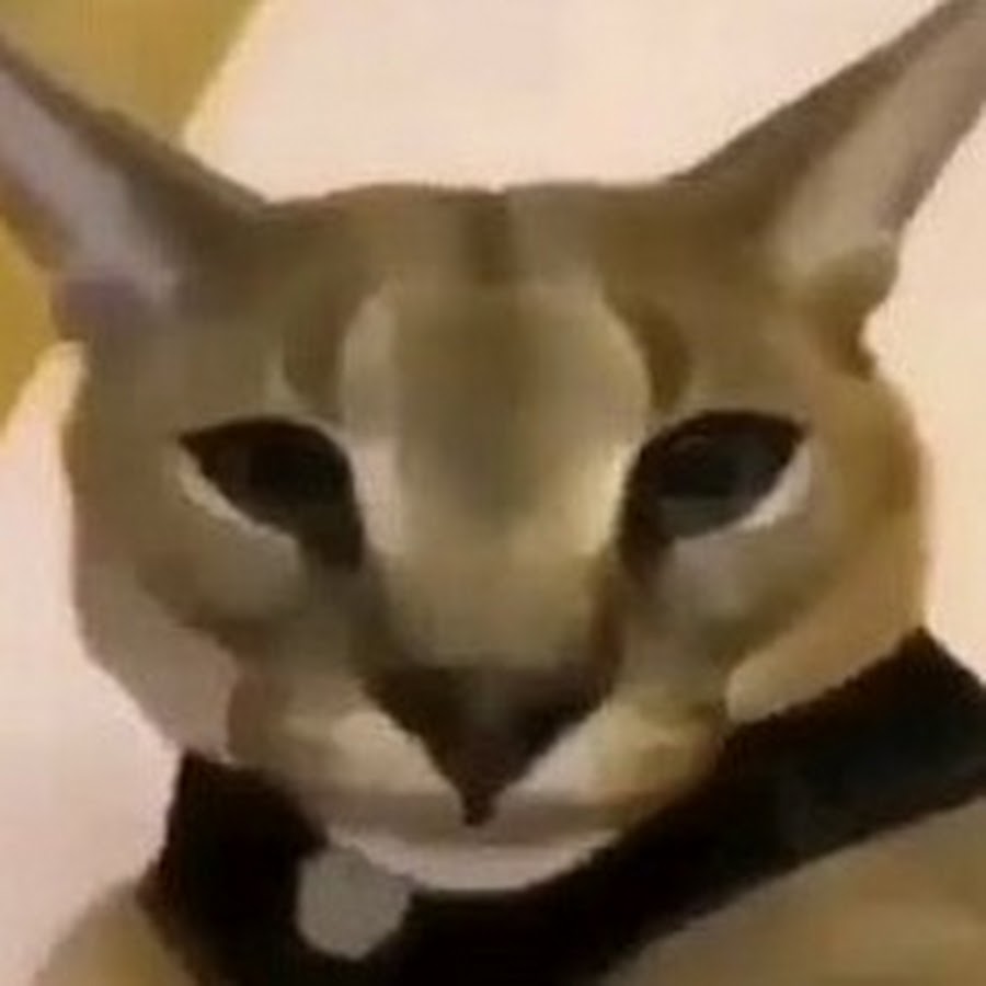 15907