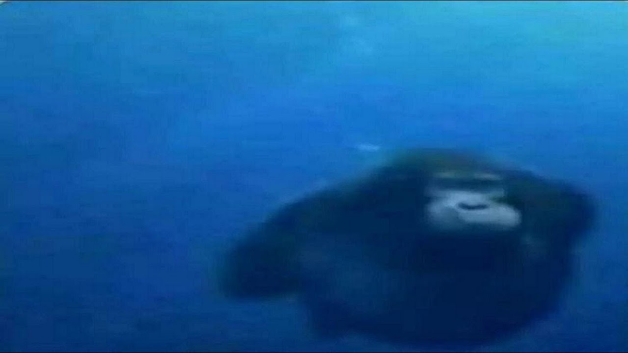 13502