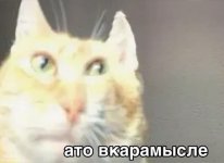 2YOj6vr5Tk0.jpg