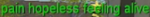 1654431274389.png