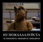 2fdb09480dab0b280bf83cb57d50f184_i-102.jpg
