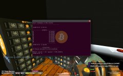 rp_bangclaw0335.jpg