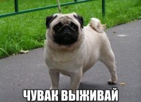a12de1edbc5586b3ae670e28f50b80e9.jpg