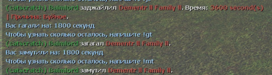 1633637363923.png