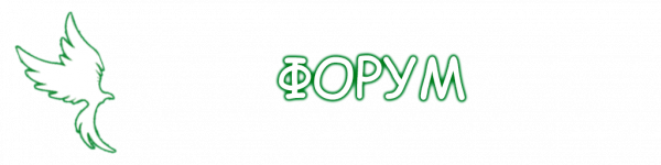 Заголовок списка рекордов феникса FORUM.png