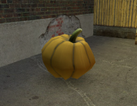 image (7).png