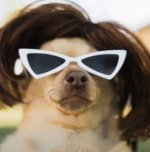 5F8C8CC2-C63C-4693-A085-8FDEEC19C5AB.jpeg