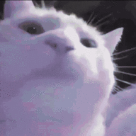 Kyubey