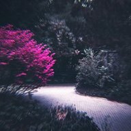 NeedlE