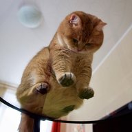 Derank