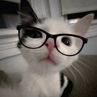 OhMeow