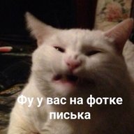 FurryTOPHIG