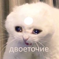 Пожылой