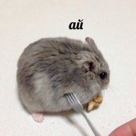 Zanki