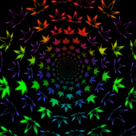 ВКедах