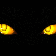 CrazyCat