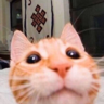 Kiro