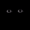 Qomo