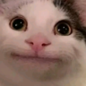 Easyhie