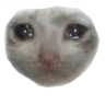 Avtobus_S_Autistami