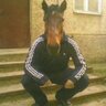 Fliger