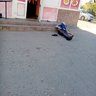 podnozhkin.dima622