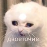 Пожылой