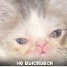 rench
