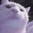 Kyubey