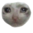 Avtobus_S_Autistami