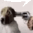 𝒞𝒽𝑒𝓍𝓁𝒾𝓀.