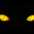 CrazyCat